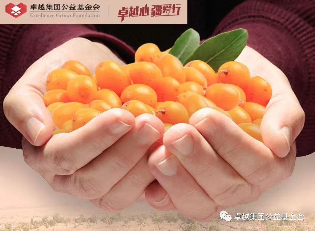 1663741482654655.jpg bfe55228219d836303d21fb76c6db601.jpg